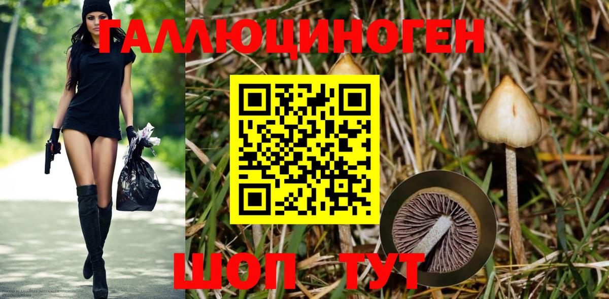 Псилоцибиновые грибы MAGIC MUSHROOMS Соль-Илецк