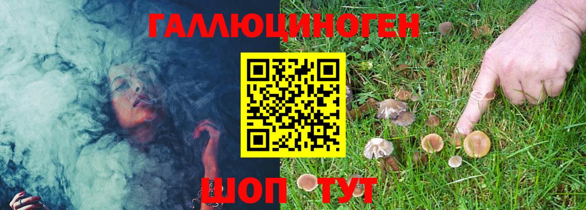 даркнет сайт  Галлюциногенные грибы Magic Shrooms  Вход с VPN  Соль-Илецк 